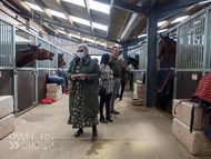 FB260322-118 - Fergal O'Brien Stable Visit